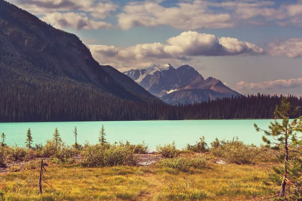 Γαλήνη λίμνη στον Καναδά — Φωτογραφία Αρχείου