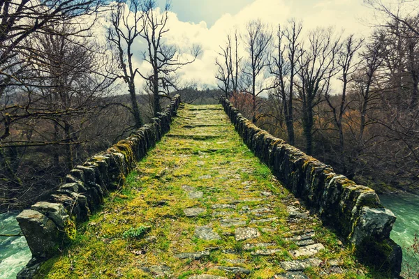 Traditional stone bridge in Greece — Stock Photo, Image