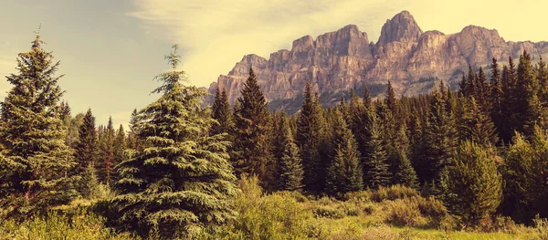 Βουνό κάστρων στο εθνικό πάρκο banff — Φωτογραφία Αρχείου