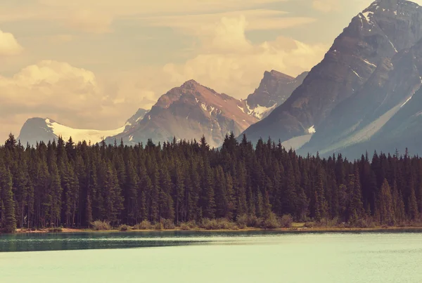 Lago Sereno no Canadá — Fotografia de Stock