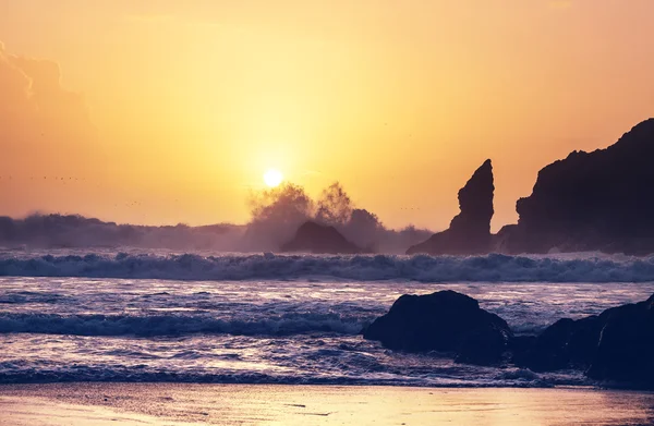 Costa do Parque Nacional Olímpico — Fotografia de Stock