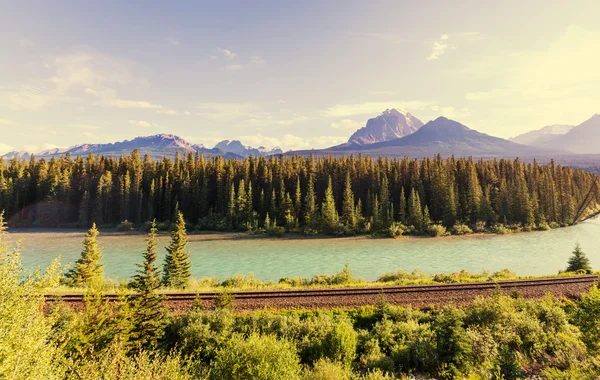 Rio através das Montanhas Rochosas no Canadá — Fotografia de Stock