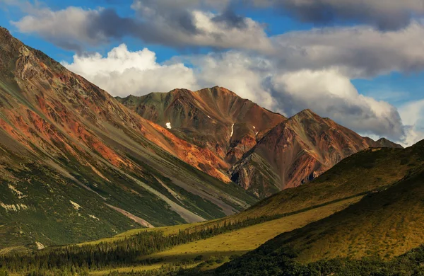 Hory krajina na Aljašce — Stock fotografie