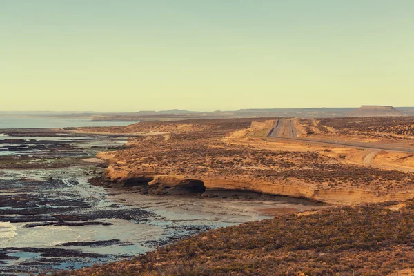 Patagonian Coast in Argentina — Stock Photo, Image