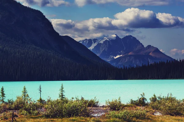 Lago sereno in Canada — Foto Stock