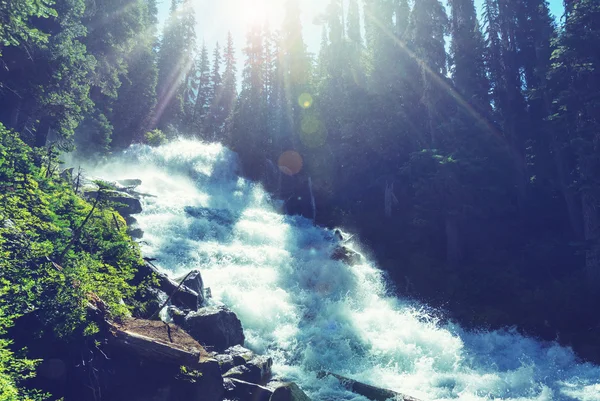 Hermoso río de montaña —  Fotos de Stock