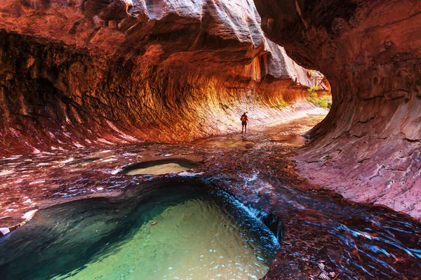 Man in Canyon in Zion National Park — Stock Photo, Image