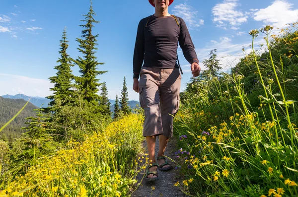 Manliga backpacker i sommar berg — Stockfoto