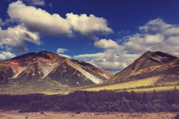 Bergen landschap in alaska — Stockfoto