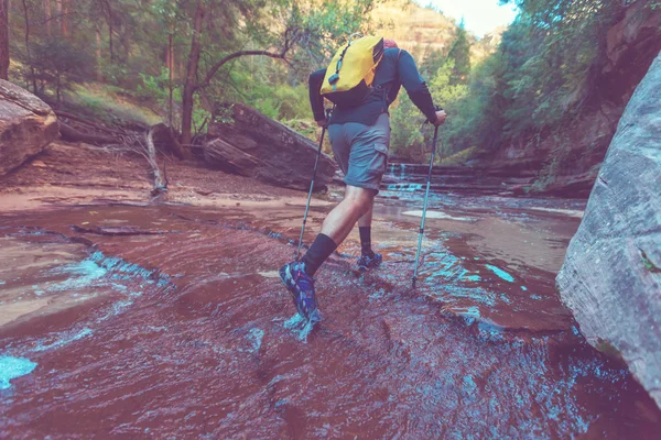 Hombre en el Cañón en el Parque Nacional Zion — Foto de Stock