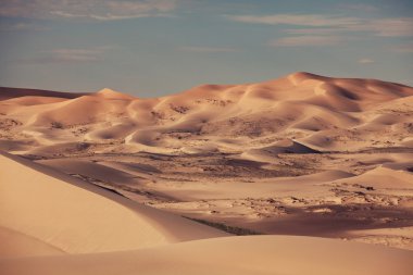 Gobi desert in Mongolia clipart