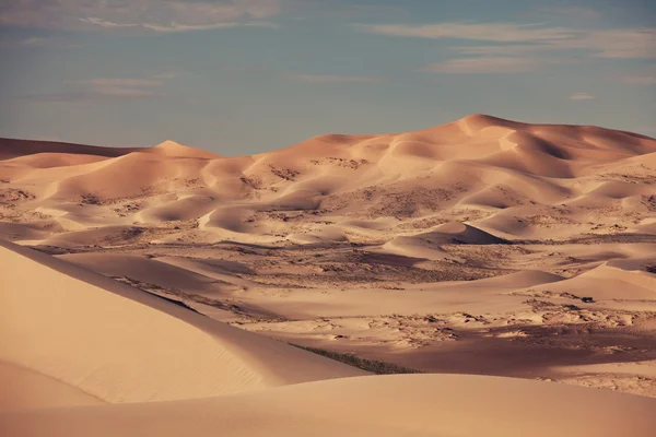 Gobi desert in Mongolia — Stock Photo, Image