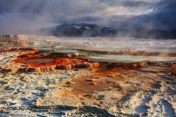 Mammoth hot springs — Stockfoto