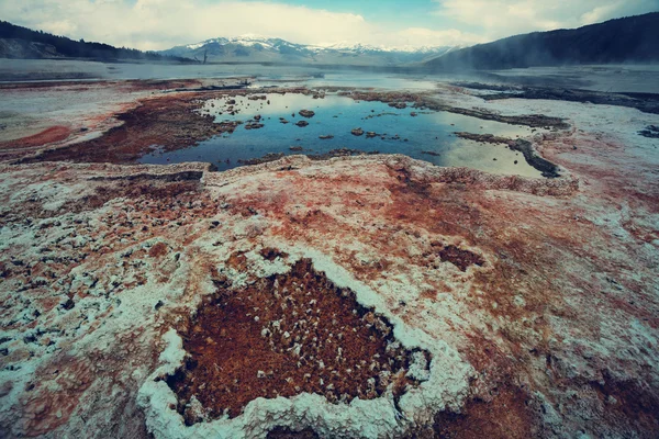 Mammoth hot springs — Stockfoto