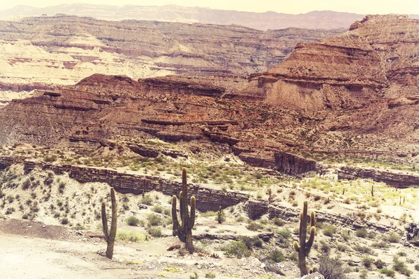 Paesaggio dell'Argentina settentrionale — Foto Stock