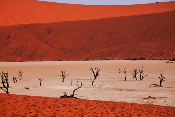 Vale morto no deserto do Namib — Fotografia de Stock