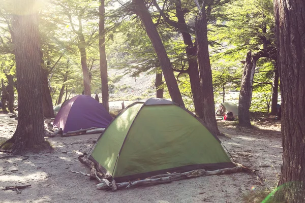 山で森でテント — ストック写真