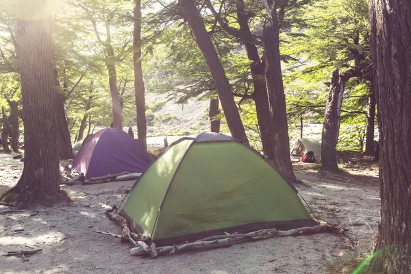 Tende nella foresta in montagna — Foto Stock