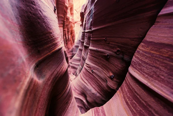 Canyon à fente dans l'Utah — Photo