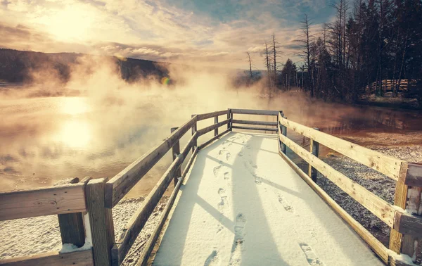 Mammoth hot springs — Stockfoto