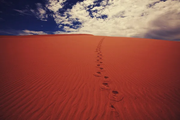 Saara deserto paisagem — Fotografia de Stock