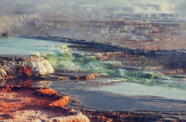 Mammoth hot springs — Stock Fotó