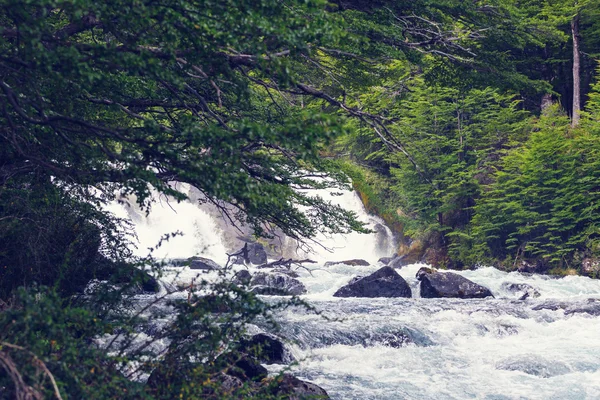 Bela cachoeira na floresta — Fotografia de Stock