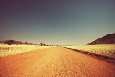 Namibya Peyzaj ve kum yol