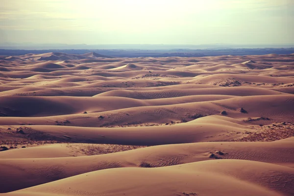 Paisaje del desierto con dunas de arena —  Fotos de Stock