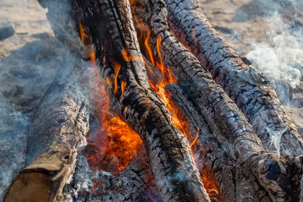 Feu de camp gros plan — Photo