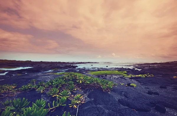Wunderschöne hawaiianische Küste — Stockfoto
