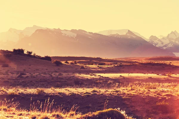 Die ländliche Landschaft in Argentinien — Stockfoto