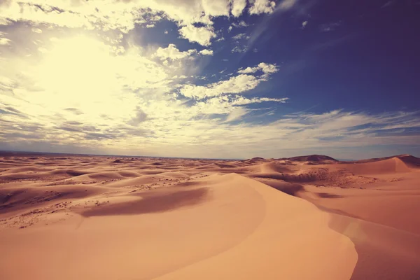 Gobi Desert landscape — Stock Photo, Image