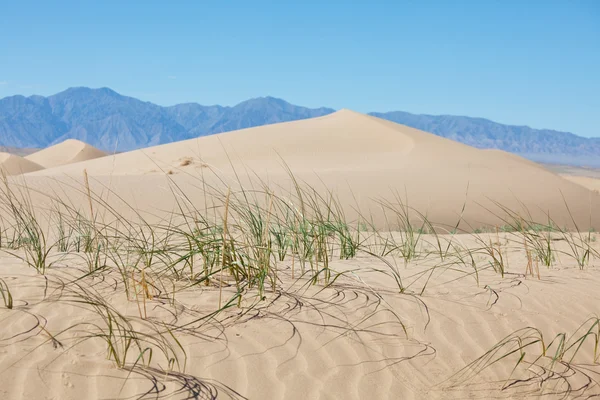 아름 다운 모래 언덕 — 스톡 사진