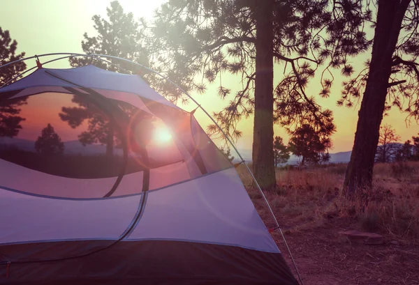 Tält på skogen campingplats — Stockfoto