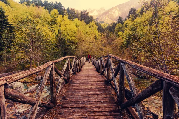 Pequena ponte de madeira — Fotografia de Stock