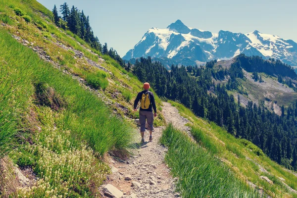 Dağlarda yürüyüş backpacker — Stok fotoğraf