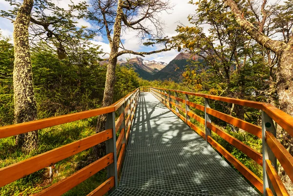 Schöne Holzpromenade — Stockfoto