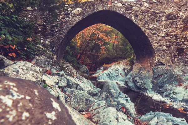 Medieval Venetian bridge — Stock Photo, Image