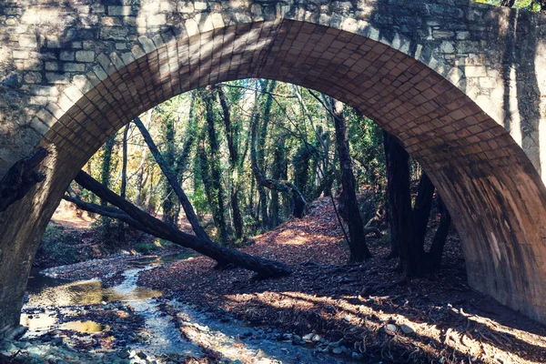 Medeltida venetianska bridge — Stockfoto