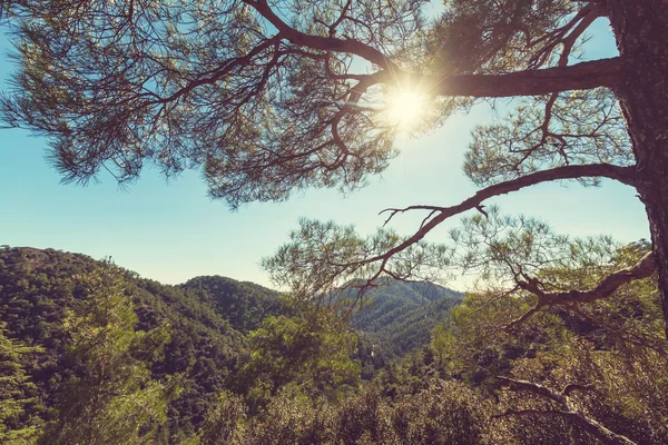 Cyprus mountains by day — Stock Photo, Image