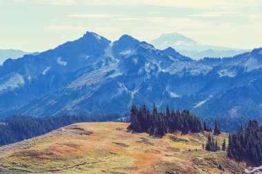 Mt. Adams Washington