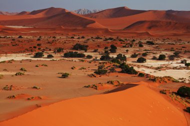famous Namib desert clipart