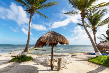 Serenity tropikal plaj