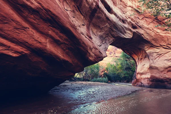 Caminhada em Coyote gulch — Fotografia de Stock