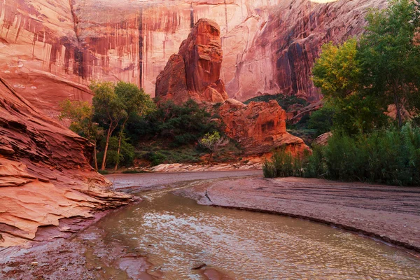 Hike in Coyote gulch — Stock Photo, Image