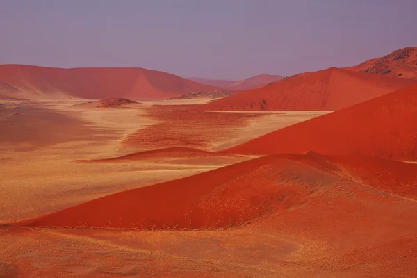 Beroemde Namib woestijn — Stockfoto