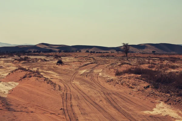 Famoso deserto del Namib — Foto Stock