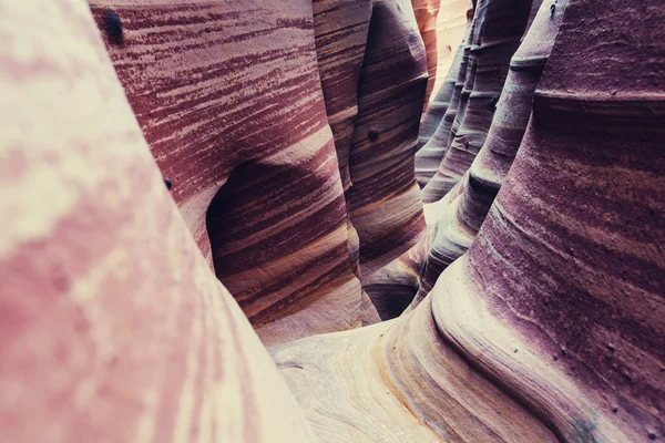 Gran Escalera Parque Nacional Escalante —  Fotos de Stock