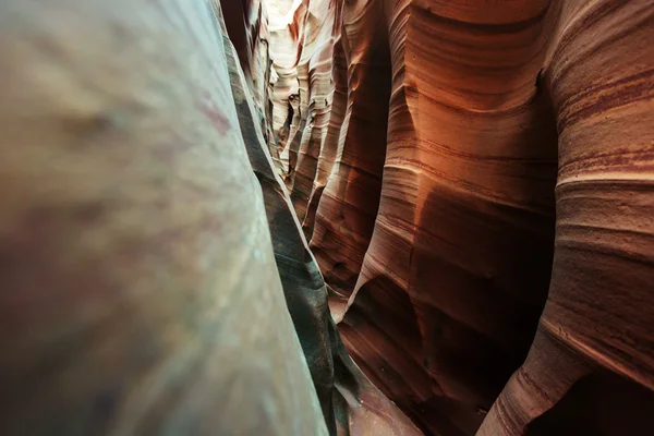 Gran Escalera Parque Nacional Escalante — Foto de Stock